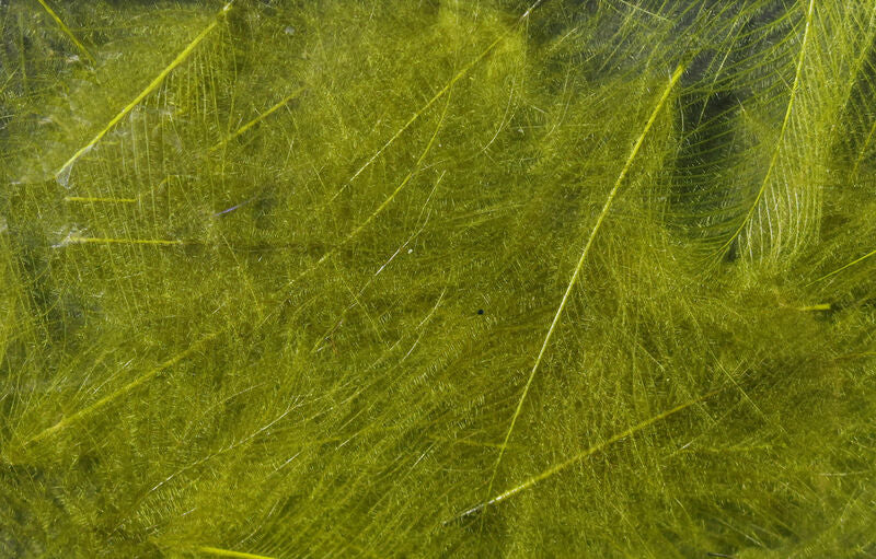 Hareline CDC