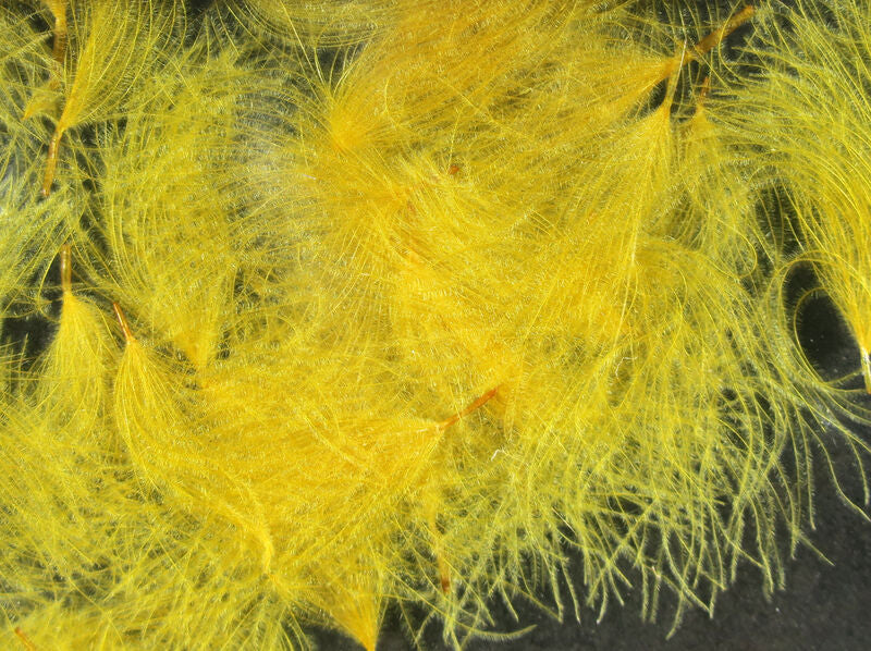 CDC Oiler Puffs