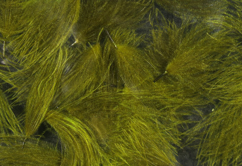 CDC Oiler Puffs