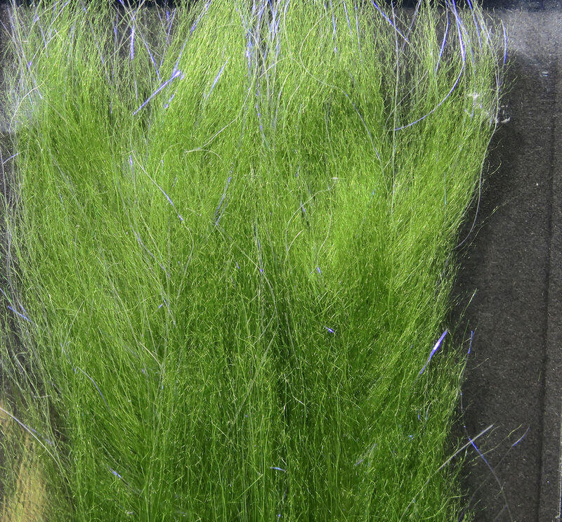 Polar Fiber Brush- 1.5"