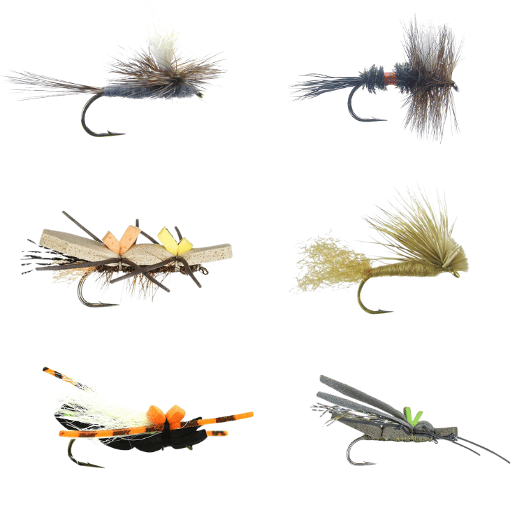 Essential Trout Dry Fly Assortment - 12 Pack