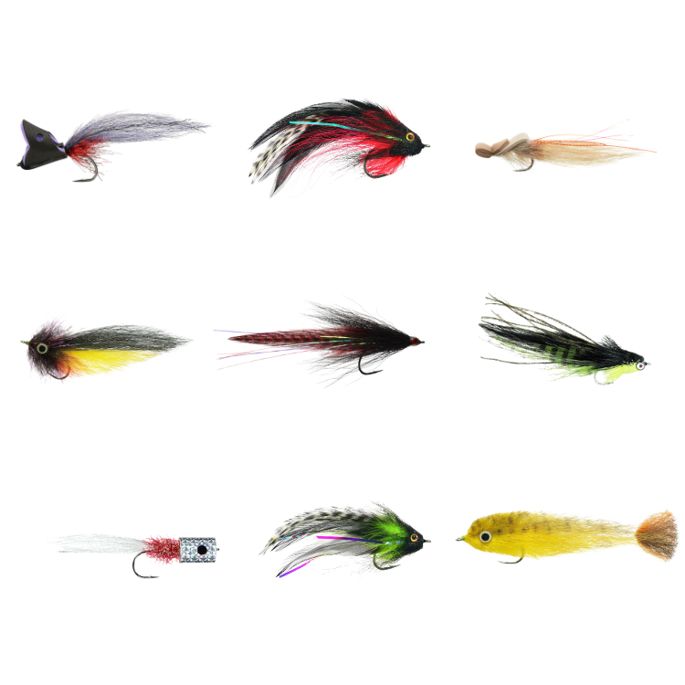 Golden Dorado Fly Assortment