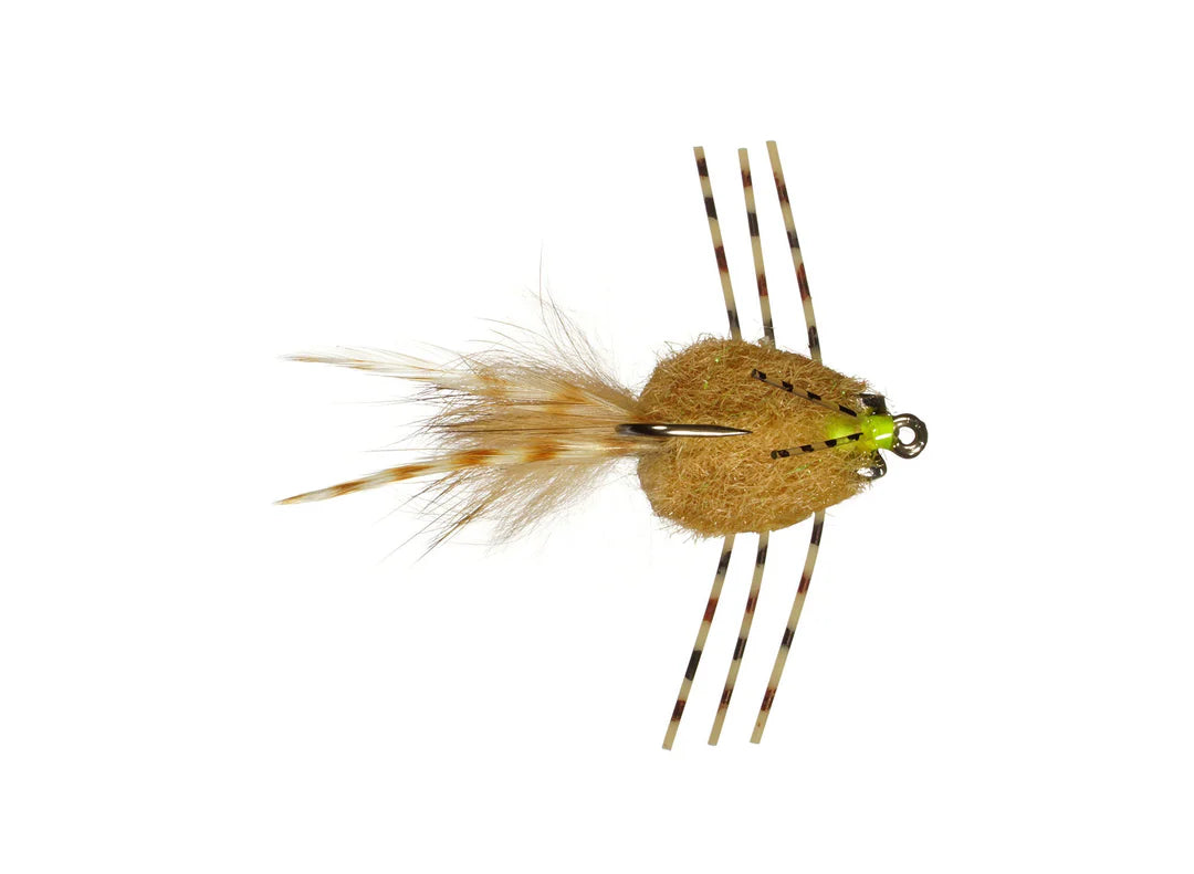 Colby's Casa Blanca Raghead (3-pack)