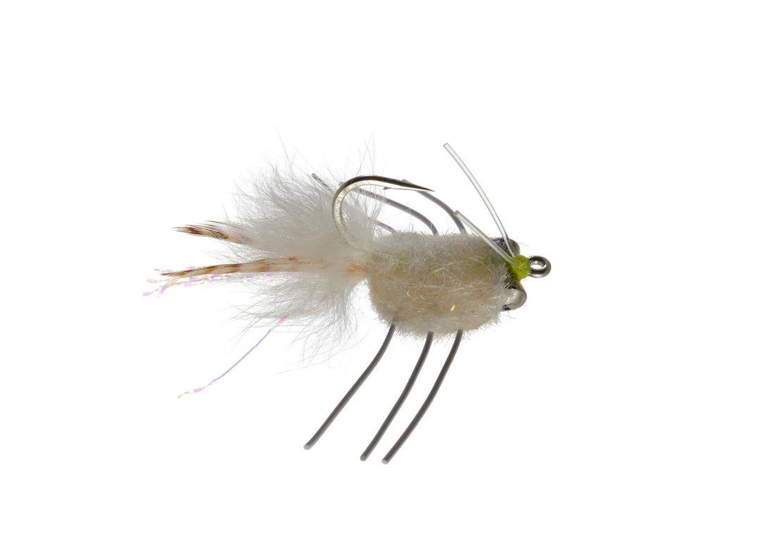 Colby's Casa Blanca Raghead (3-pack)