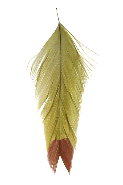 MFC Galloup's Fish Feathers-Fin Tip