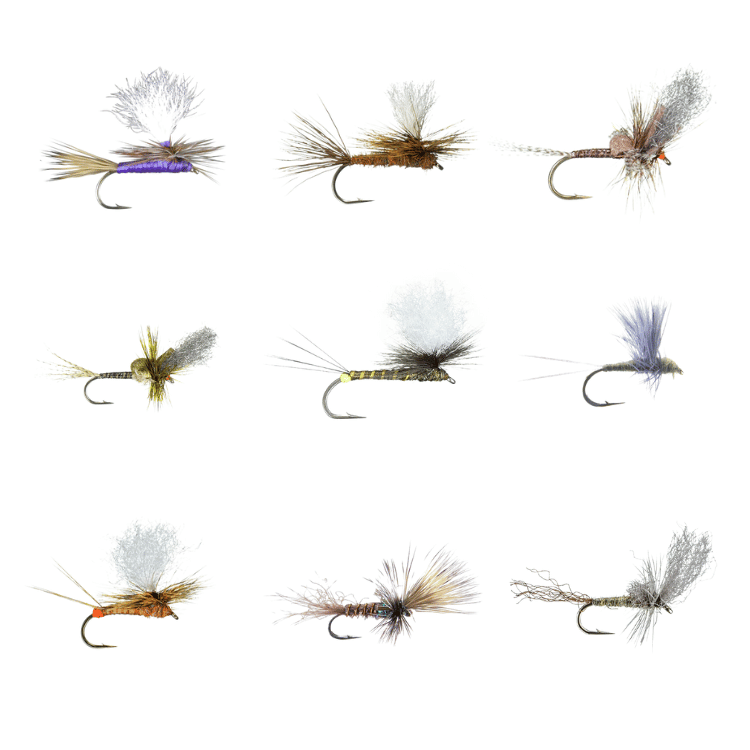 Spring Mayfly Assortment- 24 Pack