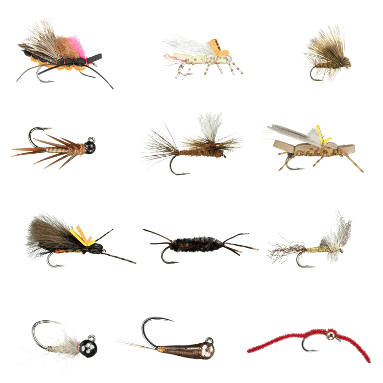 Missoula Summer Hatches Fly Assortment- 20 Pack