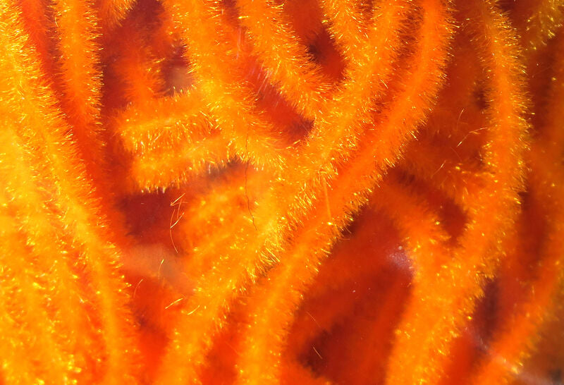 Velvet Chenille- Small