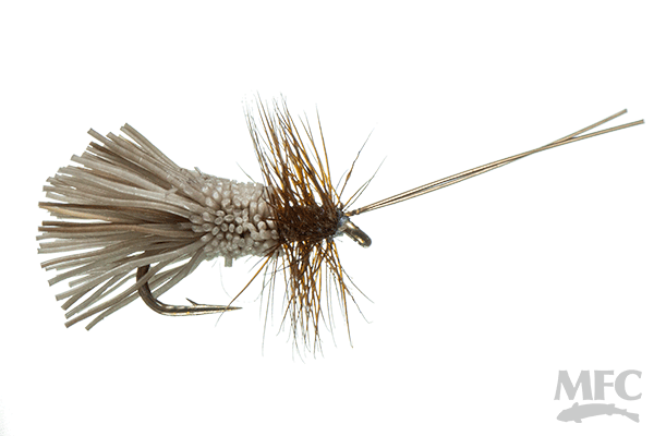 Goddard Caddis (6-pack)