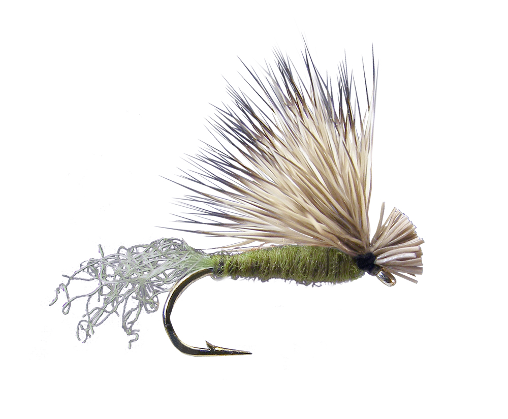 X-Caddis (6-pack)