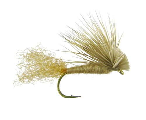 X-Caddis (6-pack)