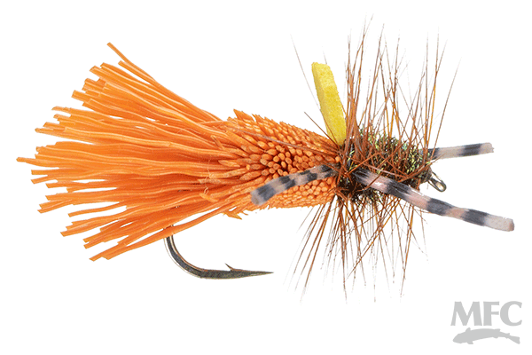 Godlike Caddis- October (6-pack)