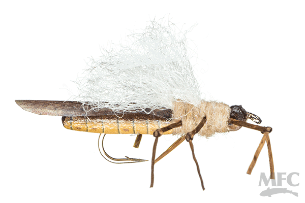 True Stonefly Flies- Winged (6-pack)