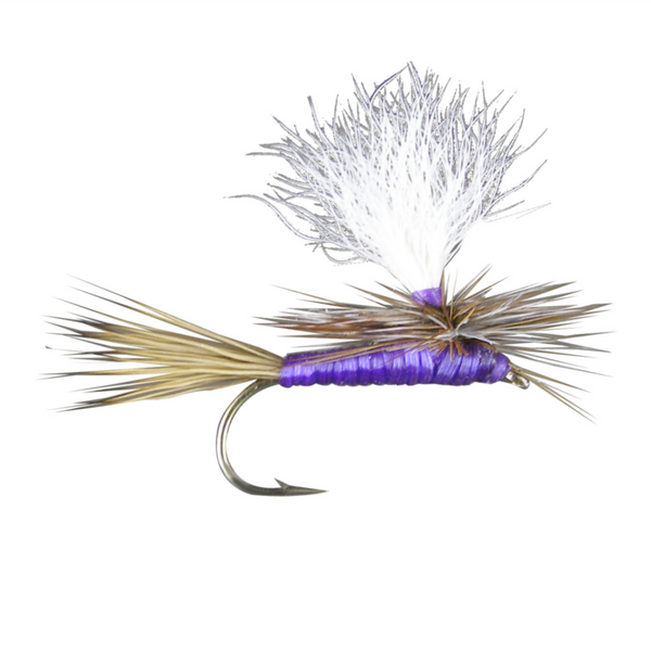 Carlson's Purple Haze (6-pack) Carlson's Purple Haze (6-pack)