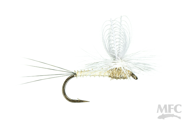 CDC Loop Wing Dun (6-pack)