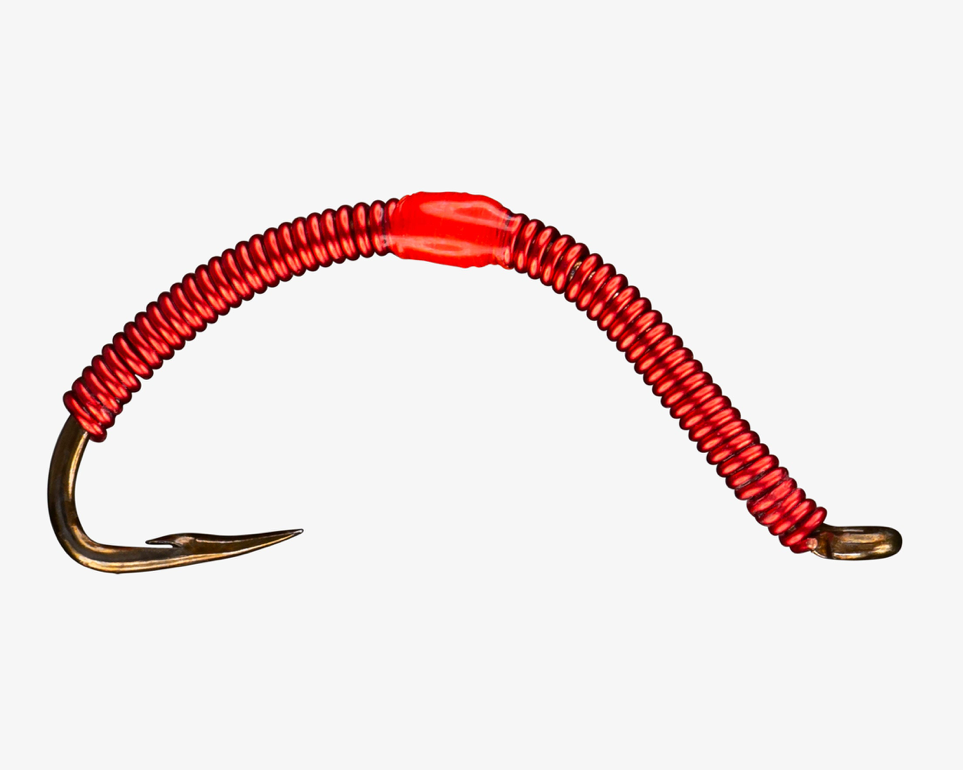 Wire Worm (6-pack)