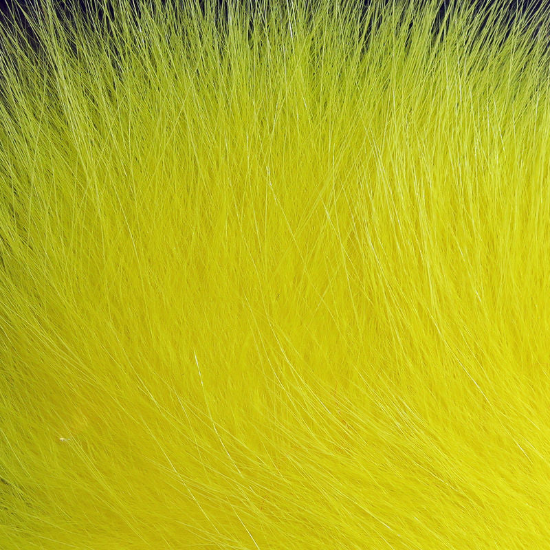 Arctic Fox Body Hair