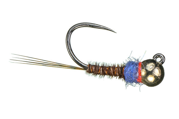 Jig Frenchie Nymph (6-pack)