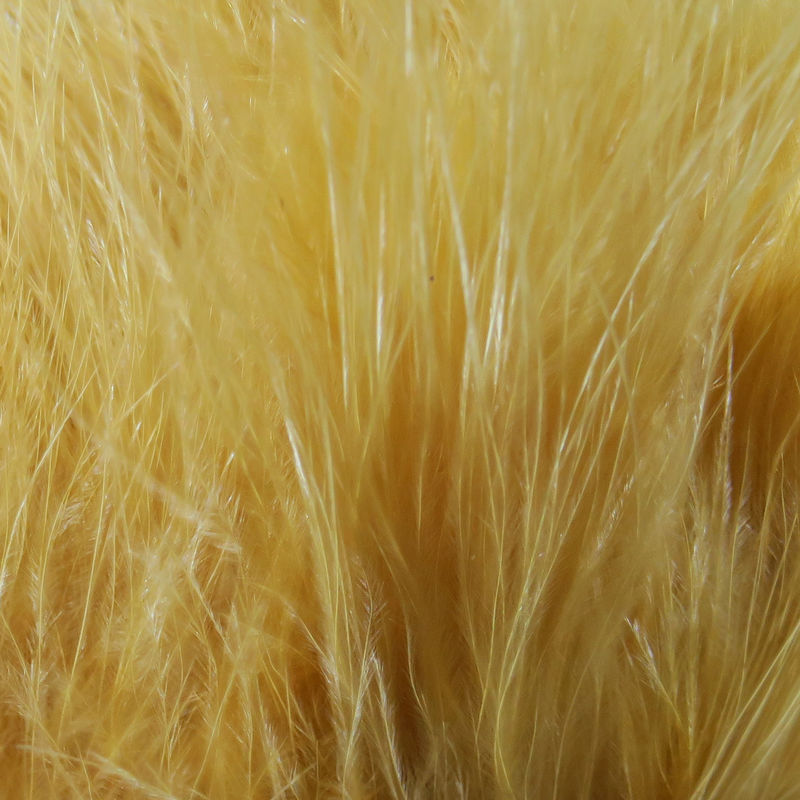 Strung Marabou