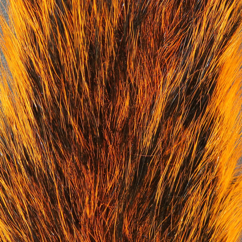 Squirrel Tail