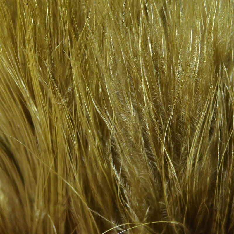 Strung Marabou
