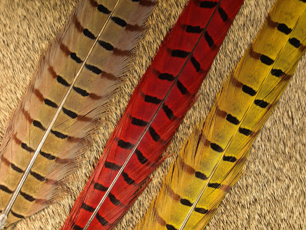 Pheasant Tail Center Pairs