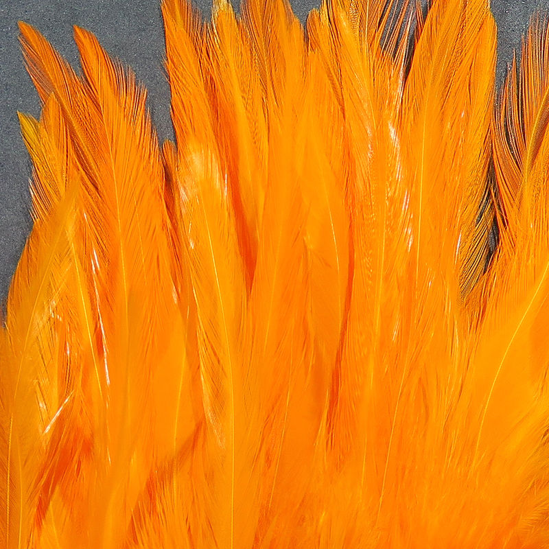 Strung Saddle Hackle