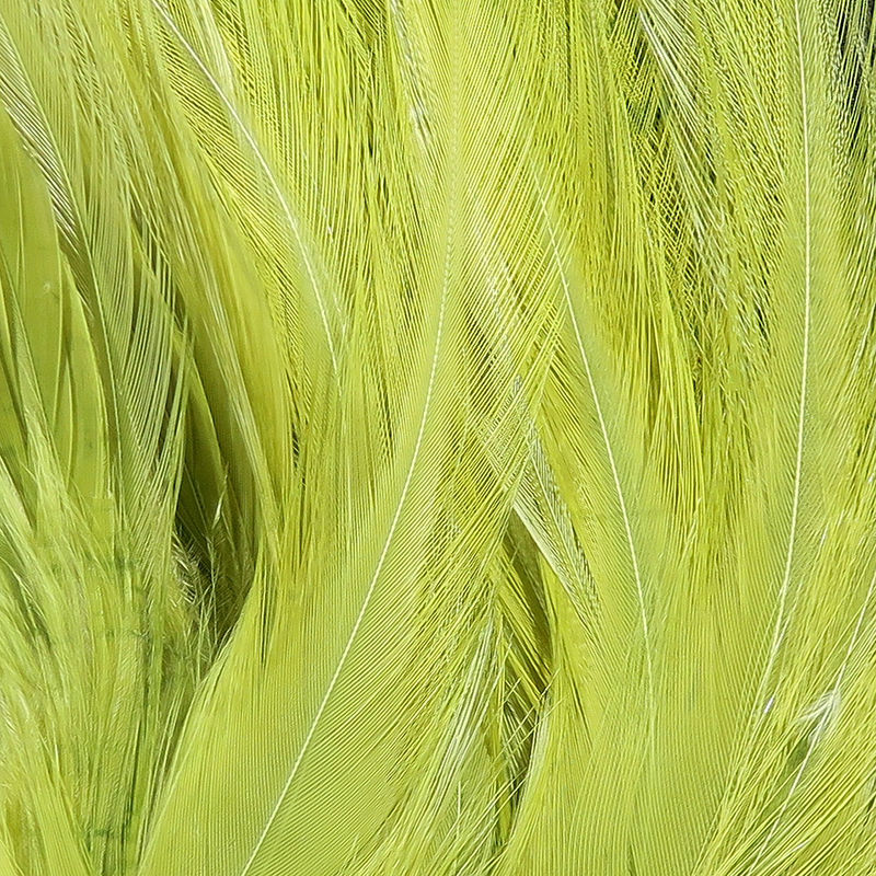 Strung Saddle Hackle