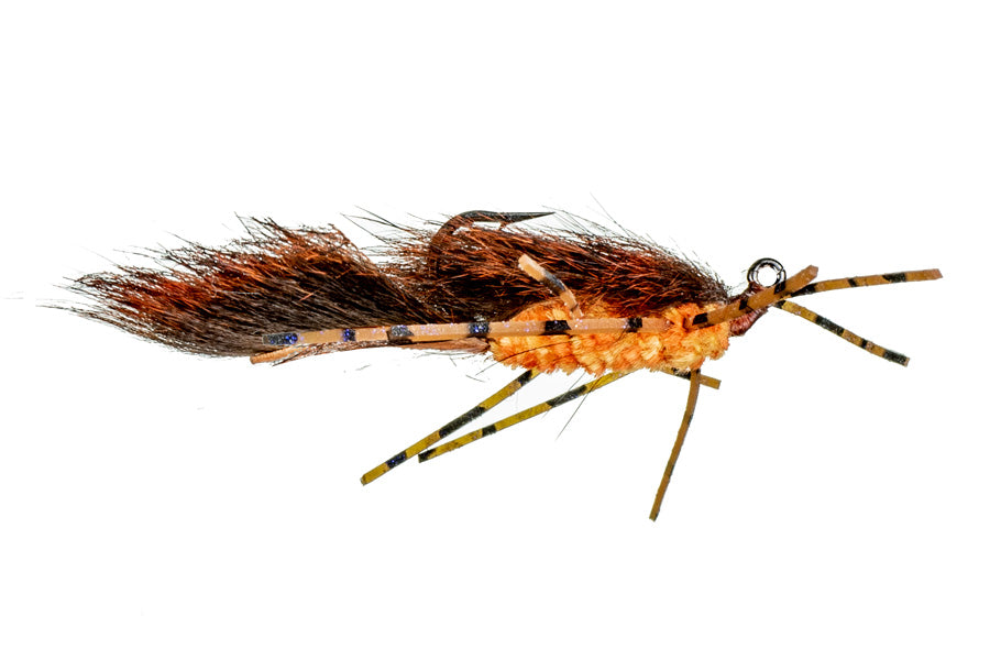 Jig Squirdle (6-pack)