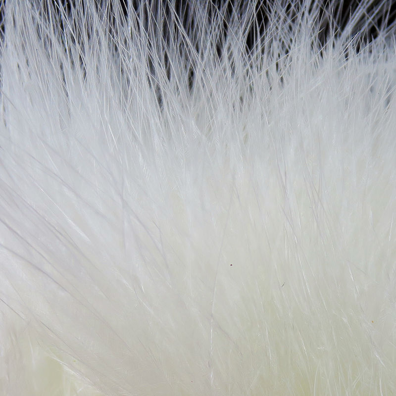 Strung Marabou