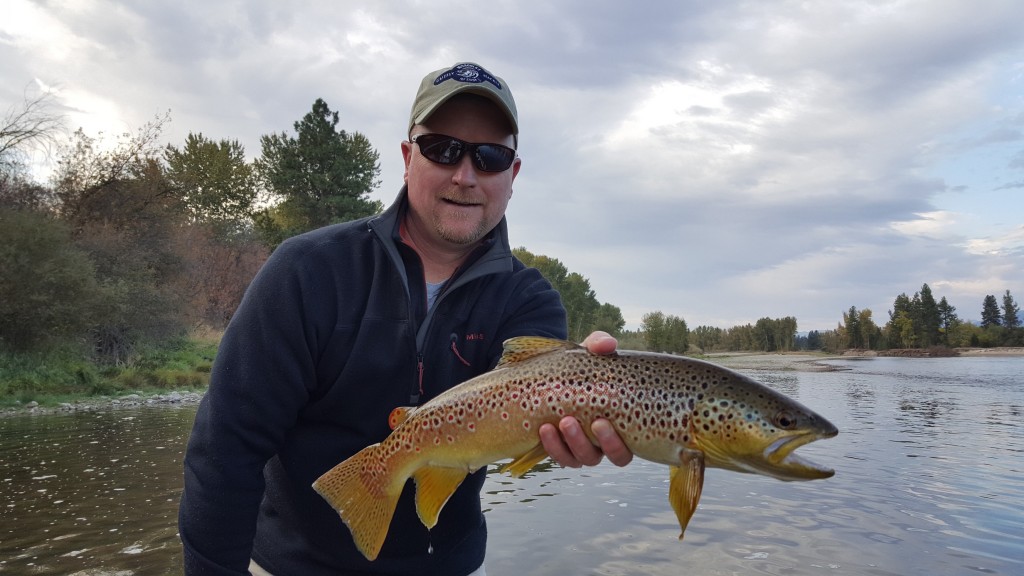 Bitterroot River Fly Fishing, Bitterroot River Brown Trout