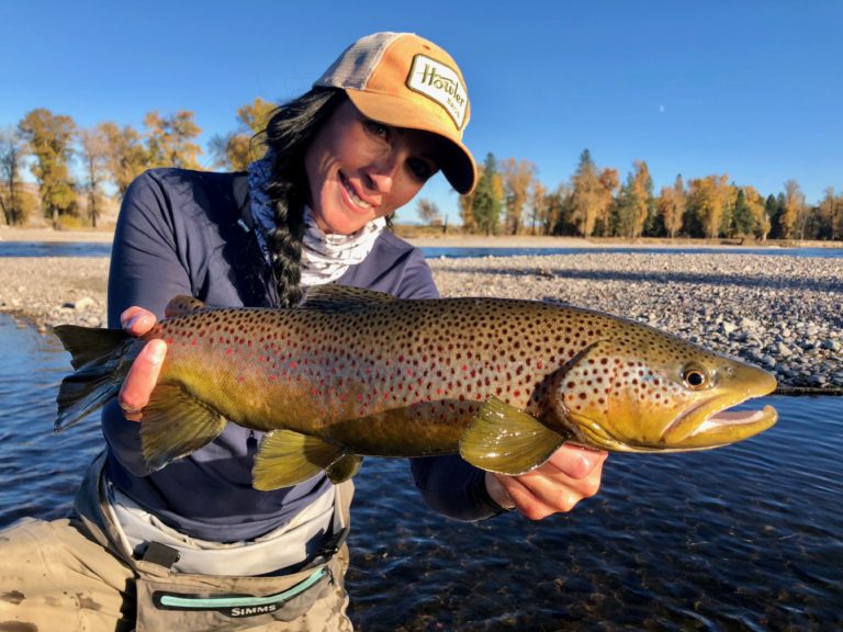 Montana fly fishing streamers, Missoula’s top five streamers for fall fly fishing