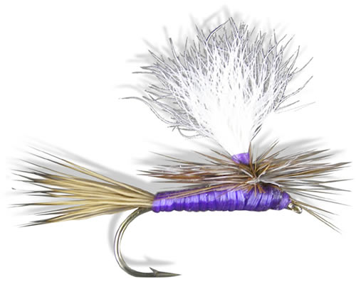 Best Flies For Fly Fishing Montana
