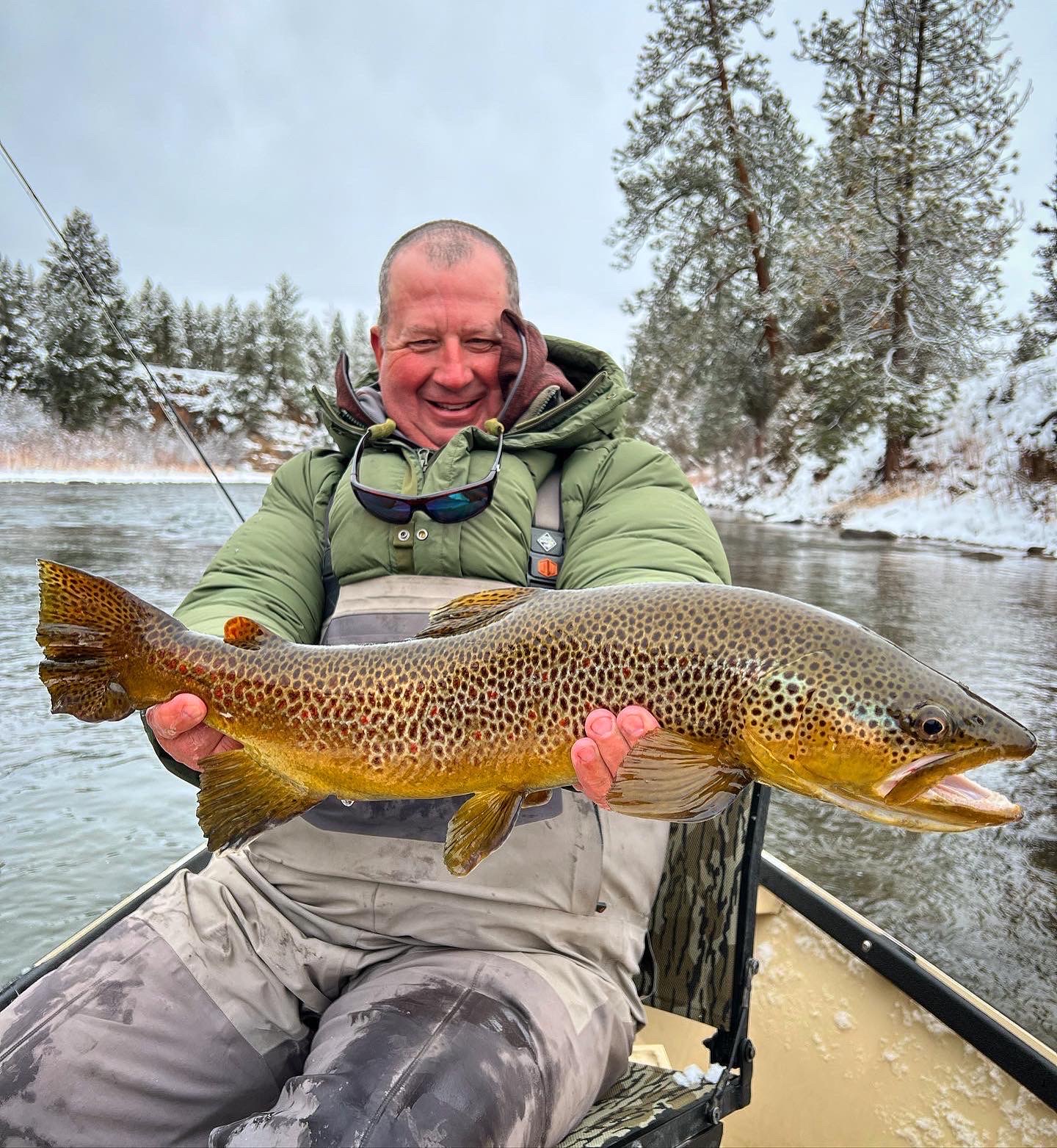 Best brown trout fishing in Montana