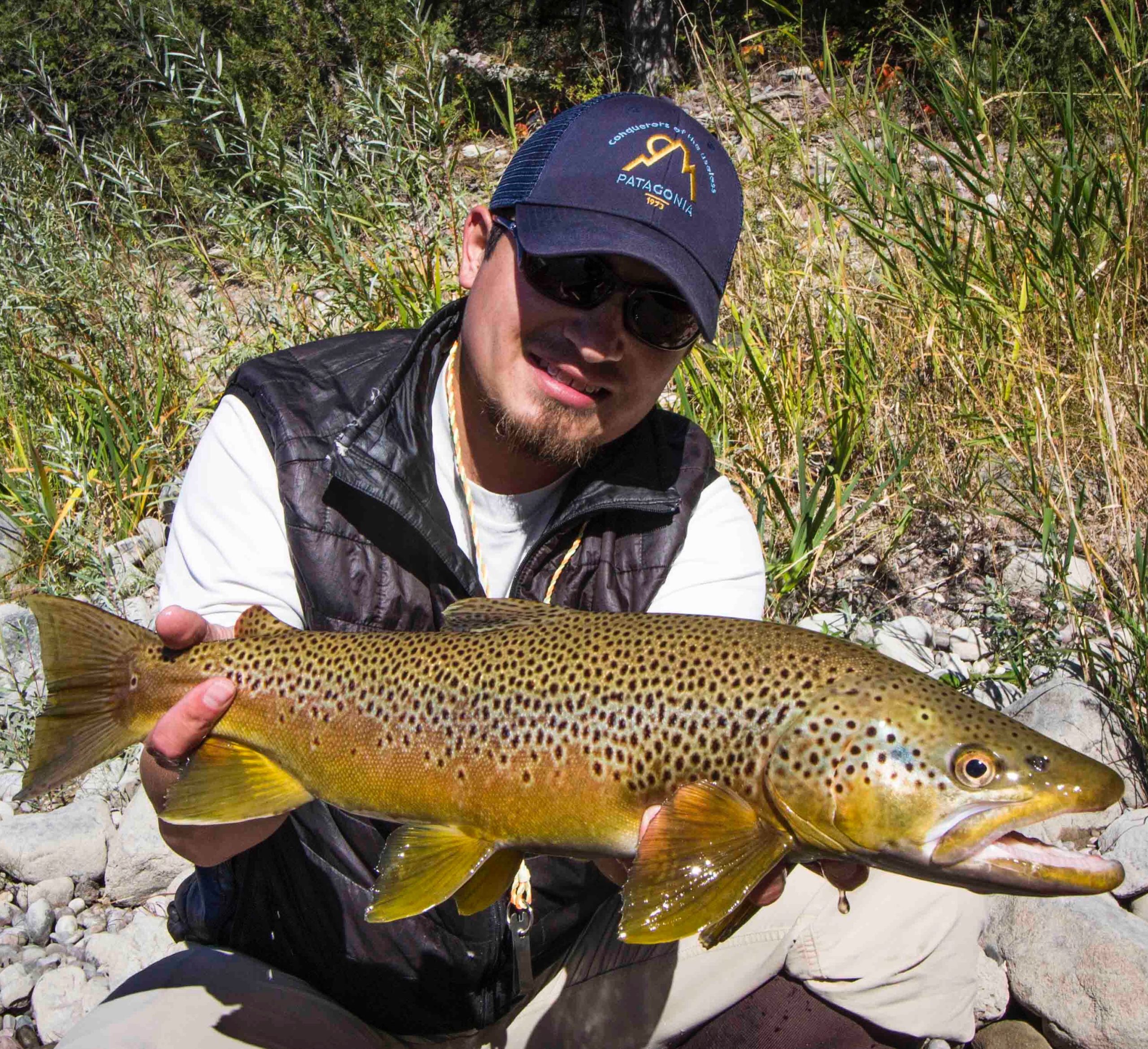 Fly fishing for Montana brown trout