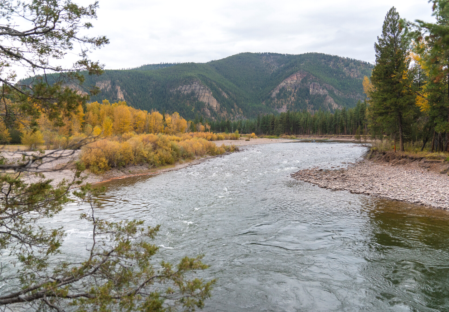October fly fishing on the Blackfoot River