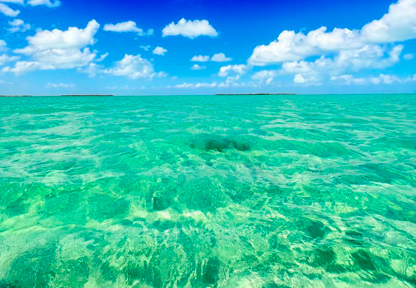 beautiful clear waters of belize fly fishing